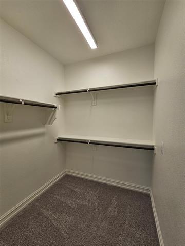 Building Photo - 3105 Euclid Way