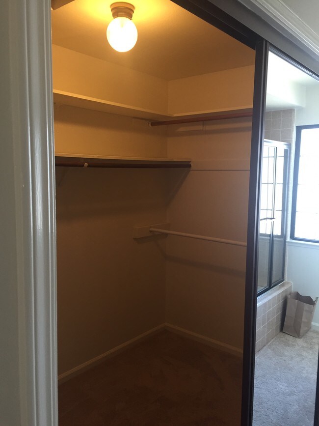 Master Bedroom Walk-in Closet - 385 S Bernardo Ave