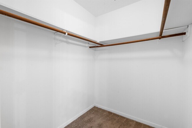 Building Photo - 4106 Cypress Hill Dr