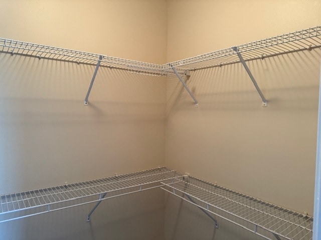 Building Photo - 2305 Echelon Cir