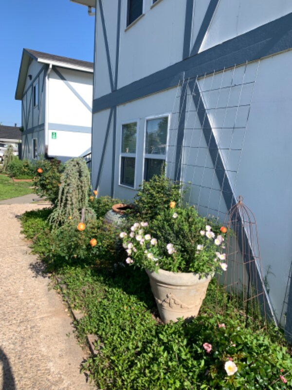 Building Photo - 1701 NW 29th St