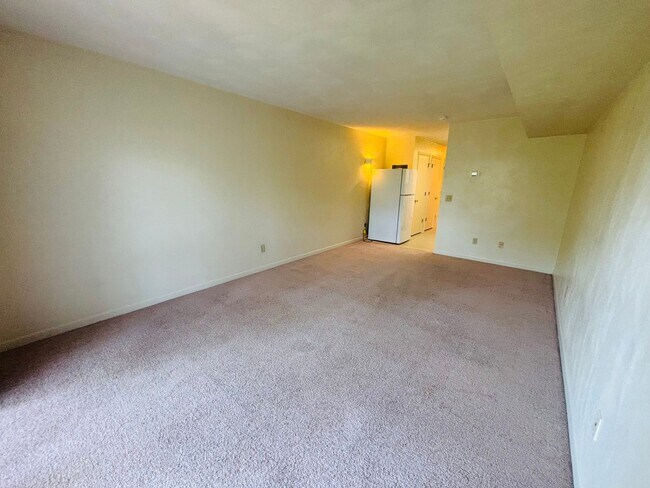 Building Photo - Efficiency 1 Bathroom Condo