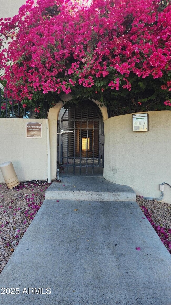 Primary Photo - 4330 N 5th Ave