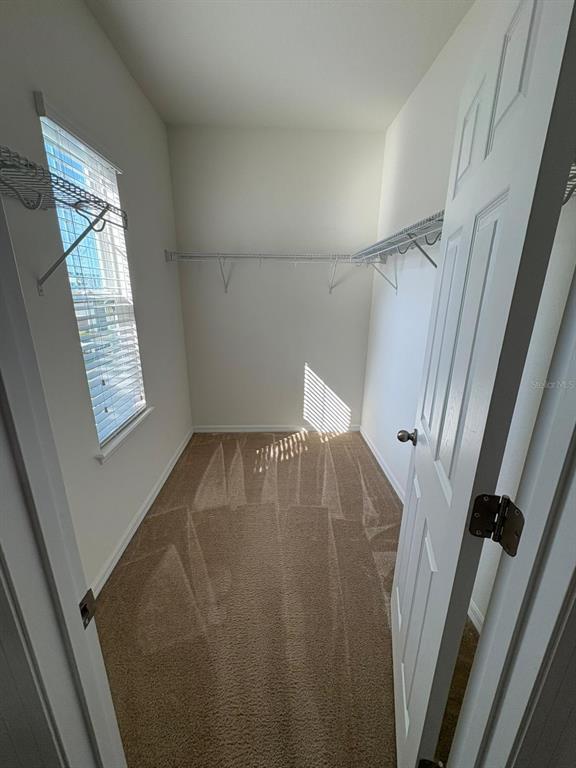 Building Photo - 9349 Tyrella Pine Trail