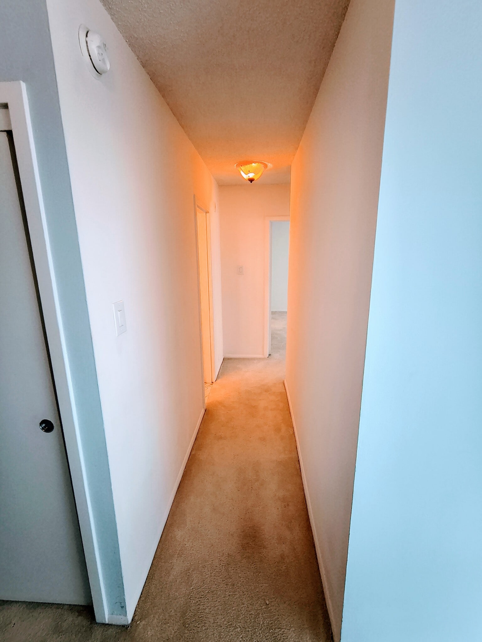 Hallway - 5500 Friendship Blvd