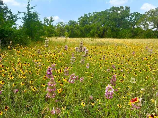 Building Photo - 6013 Abilene Trl