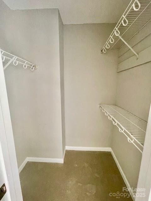 Building Photo - 3010 Uxbridge Woods Ct