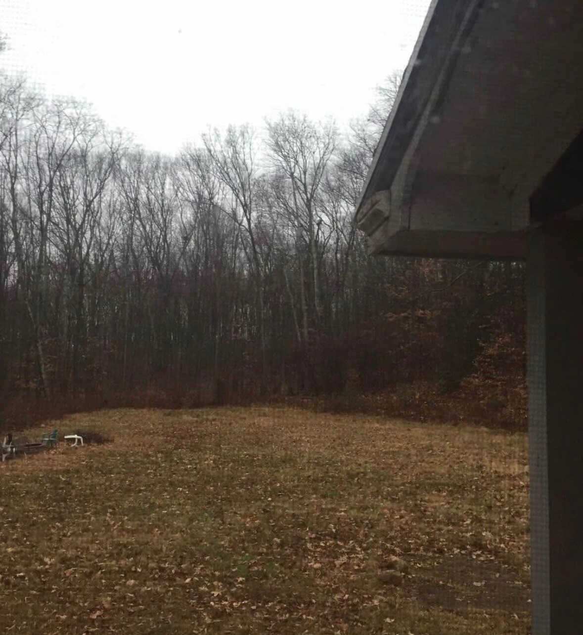 Building Photo - 233 Roosevelt Ave