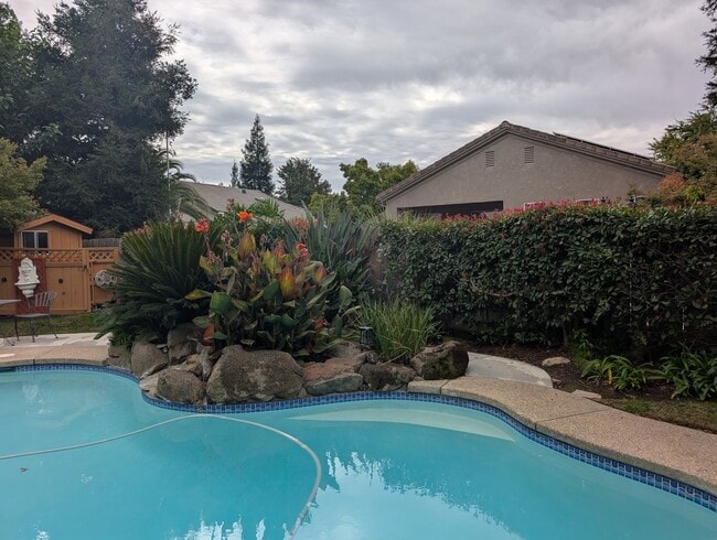 Building Photo - Wonderful 4 bedroom home in Clovis offering a pool, spa, 3 car garage, potential RV and or boat s...