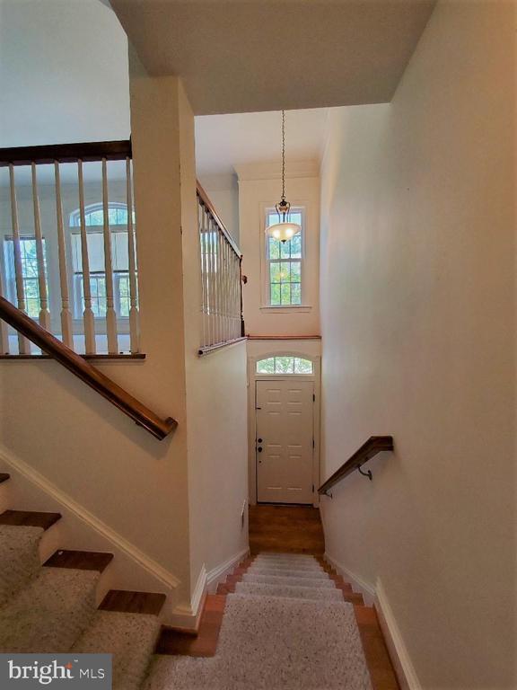 Building Photo - 1625 Whitehall Dr