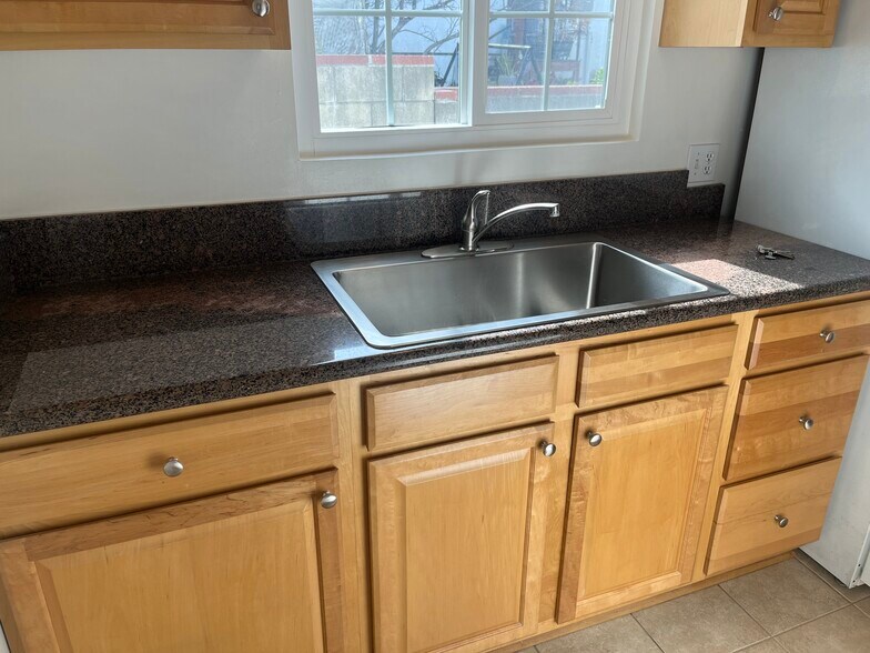 granite counters with newer stainless sink - 1126 E Palmer Ave