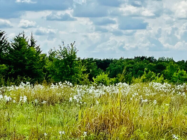 wildflower meadows and scenic overlooks - 2510 Private Road 1180