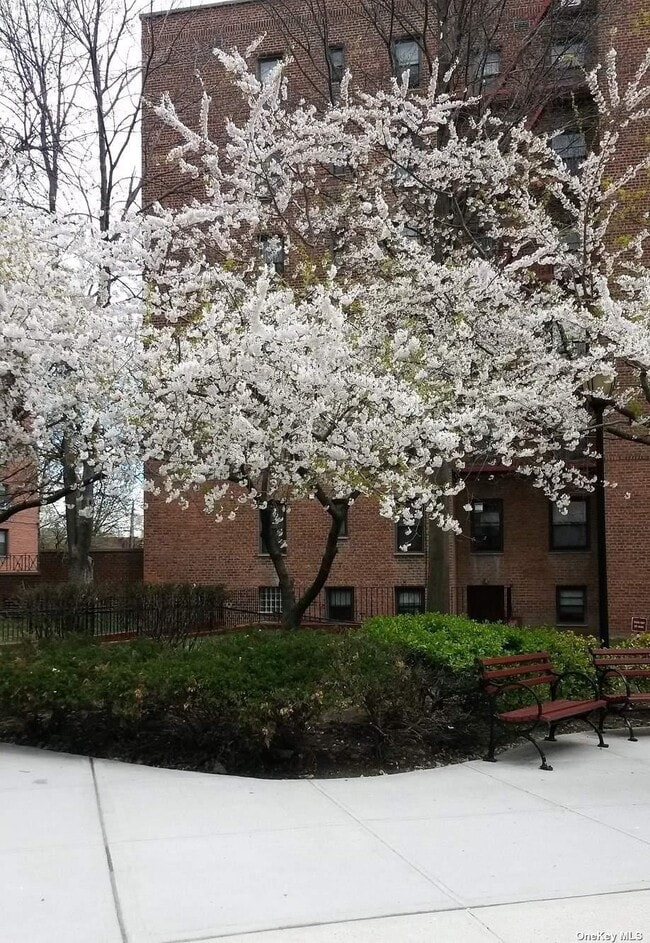 Building Photo - 150-11-150-72 72nd Rd