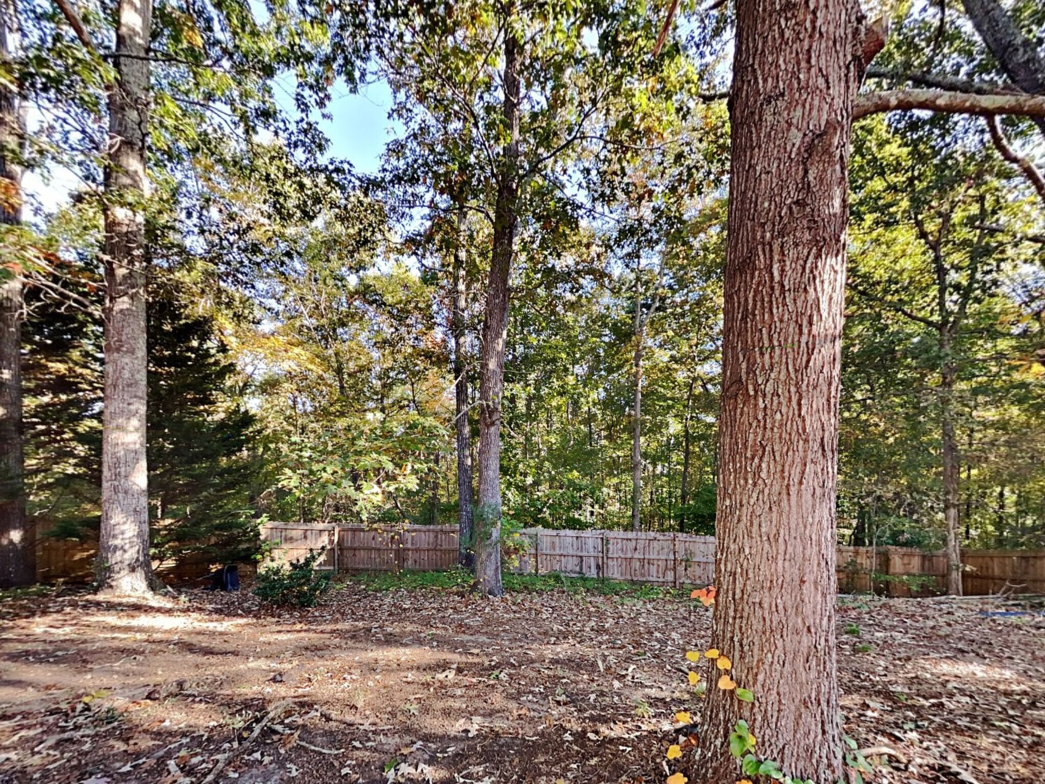 Building Photo - 3718 Cherokee Overlook Dr