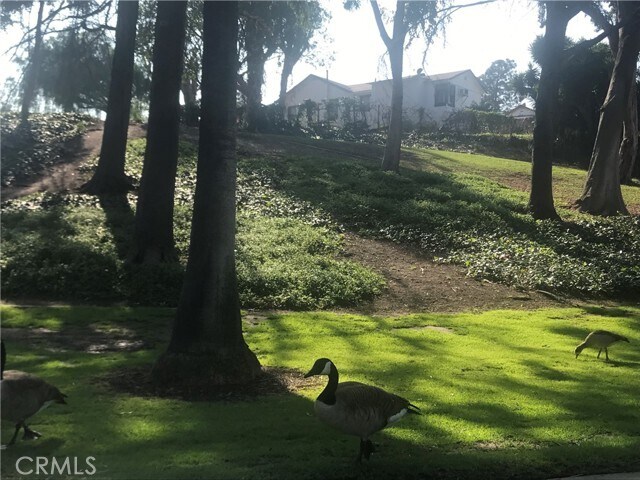 Building Photo - 16801 E Buena Vista Ave