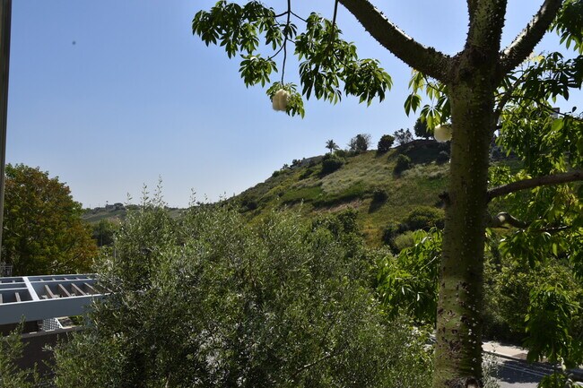 Balcony - 12655 Bluff Creek Dr