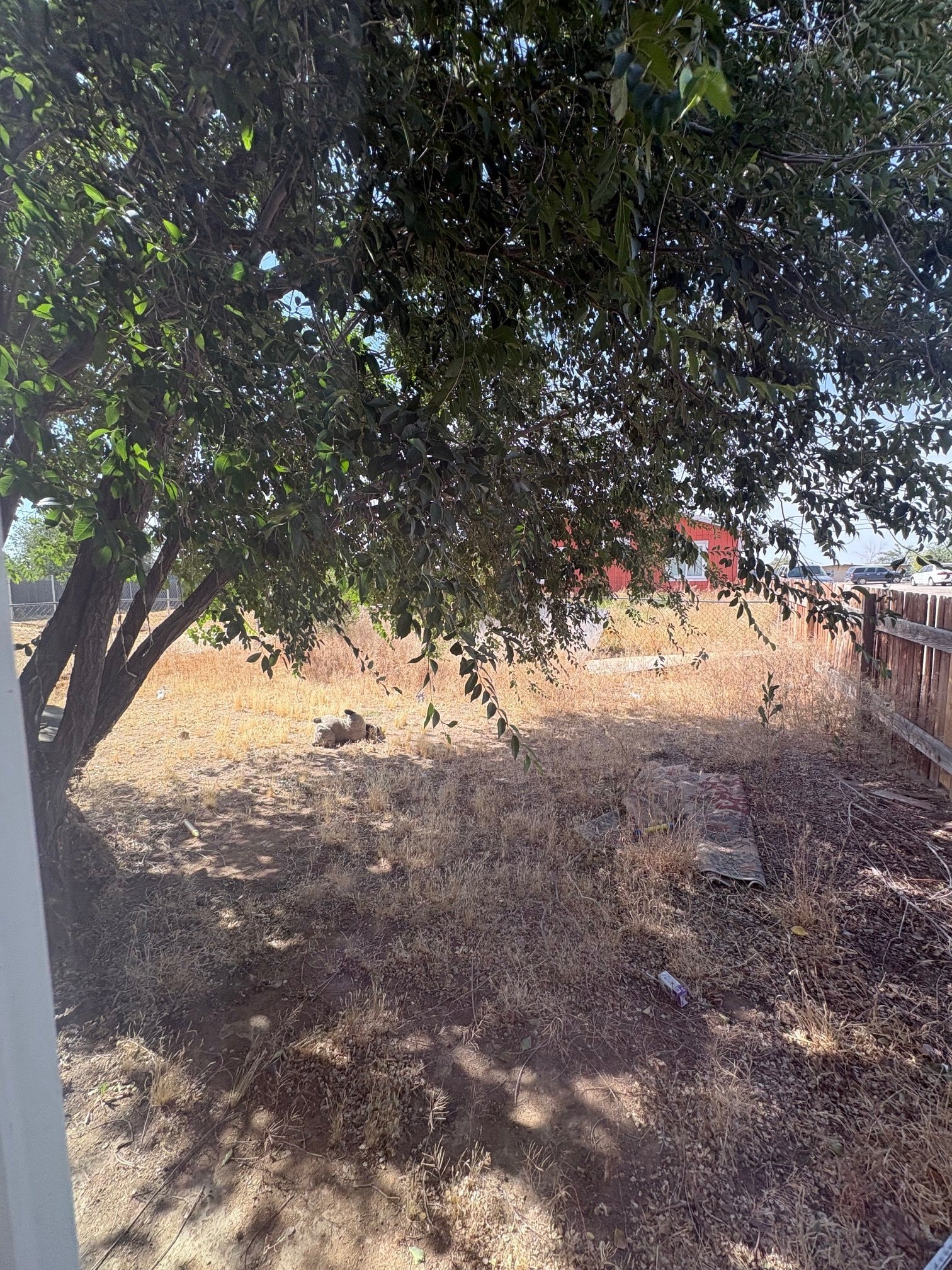 Building Photo - 12048 Sand Ave