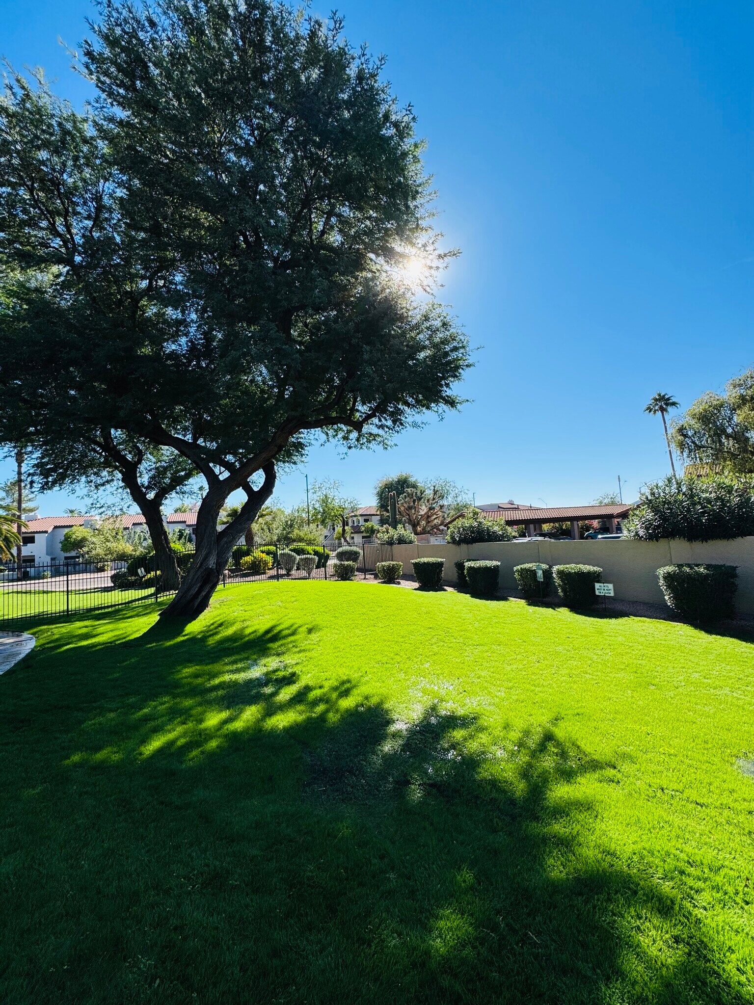 Building Photo - 7008 E Gold Dust Ave