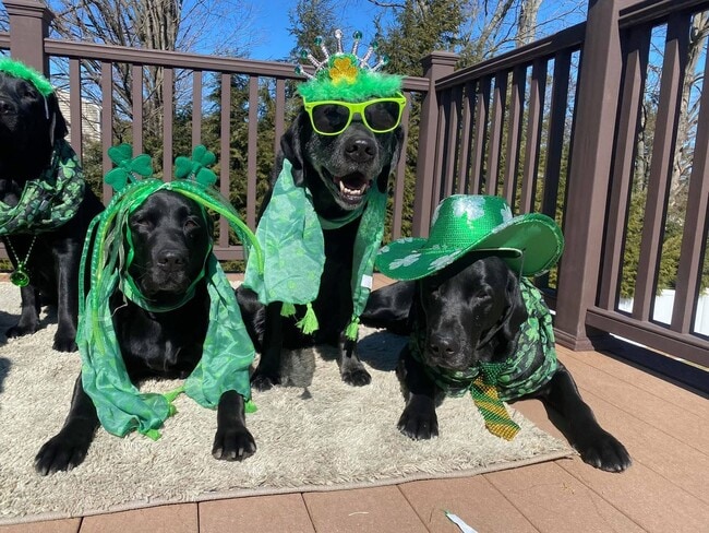 Building Photo - Are You Feeling Extra Lucky Today? You should with free application fees until Friday!