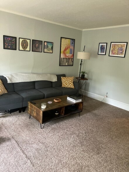 livingroom - 221 W Sibley St