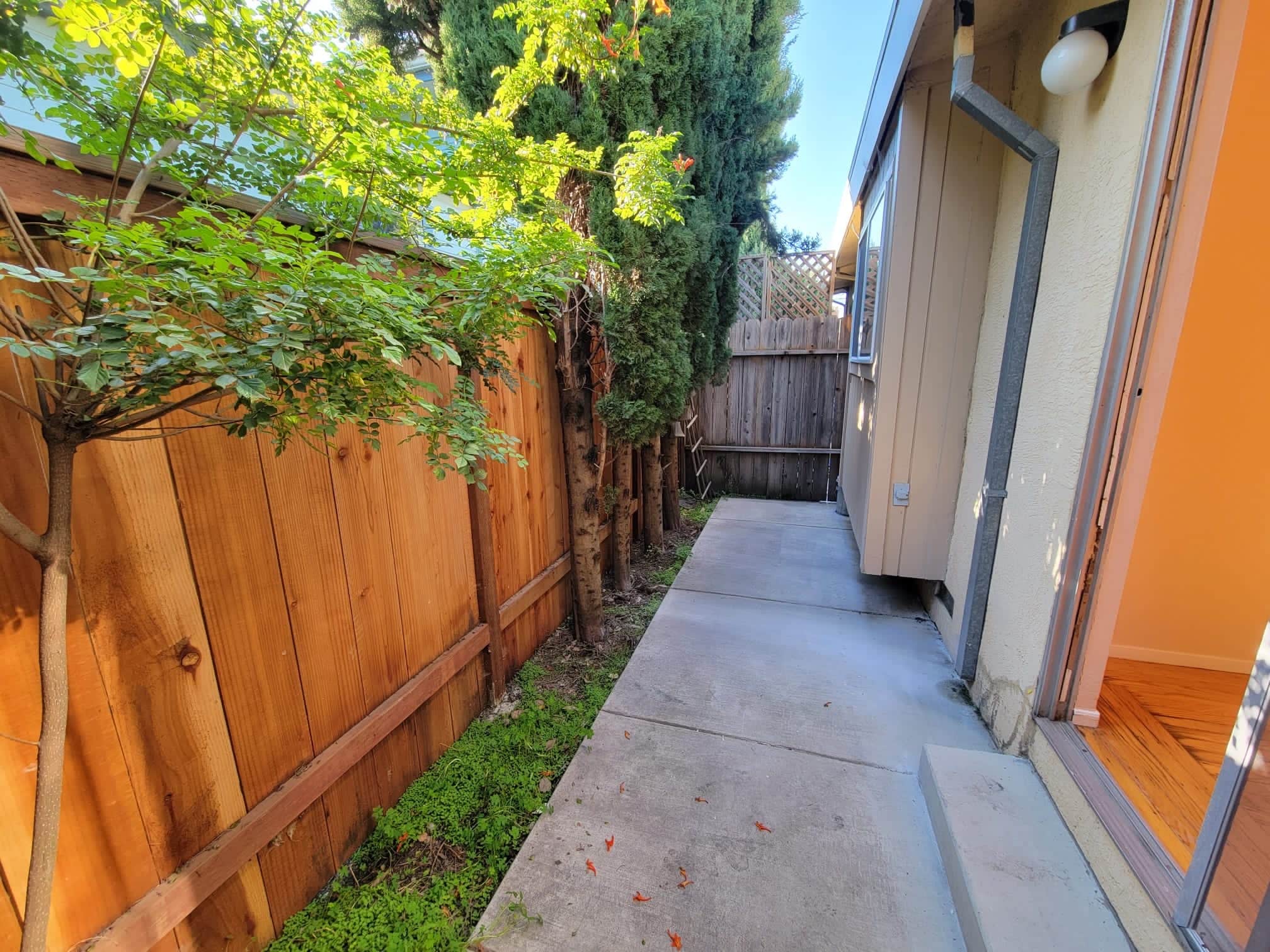 Side patio - 2227 Roosevelt Ave