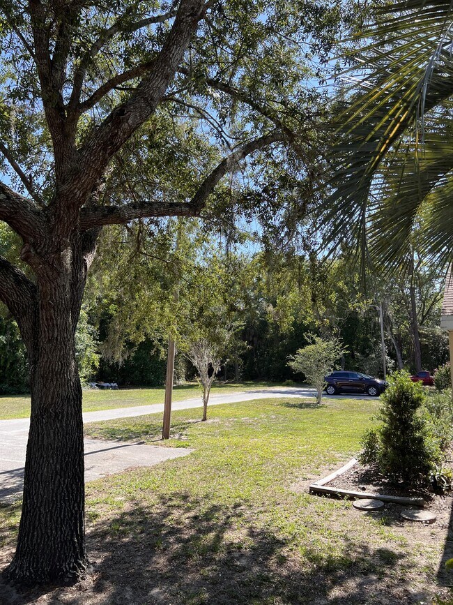 Building Photo - 6356 S Suncoast Blvd