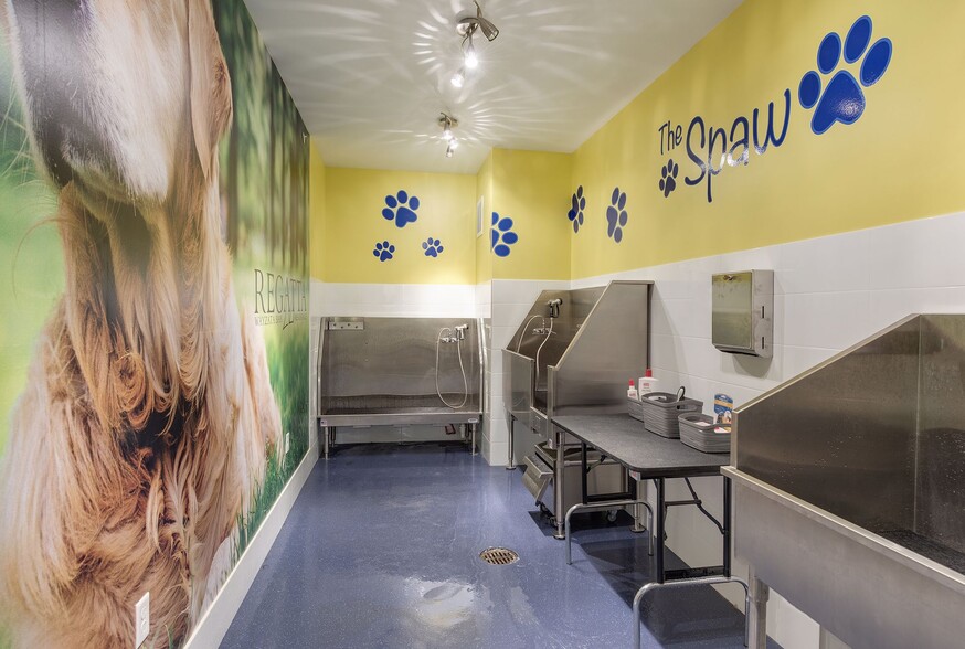 Regatta is a pet-friendly building and offers a dog washing area in the lower level - 875 Lake St N