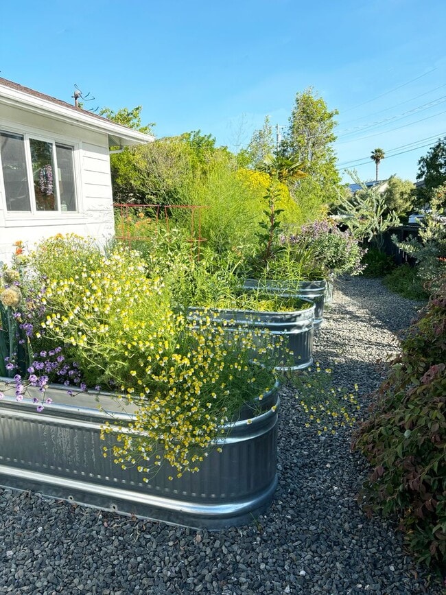 Building Photo - UPDATED THREE BEDROOM TWO BATH ONE-LEVEL EAST CORTE MADERA HOME WITH STUNNING OUTDOOR SPACE