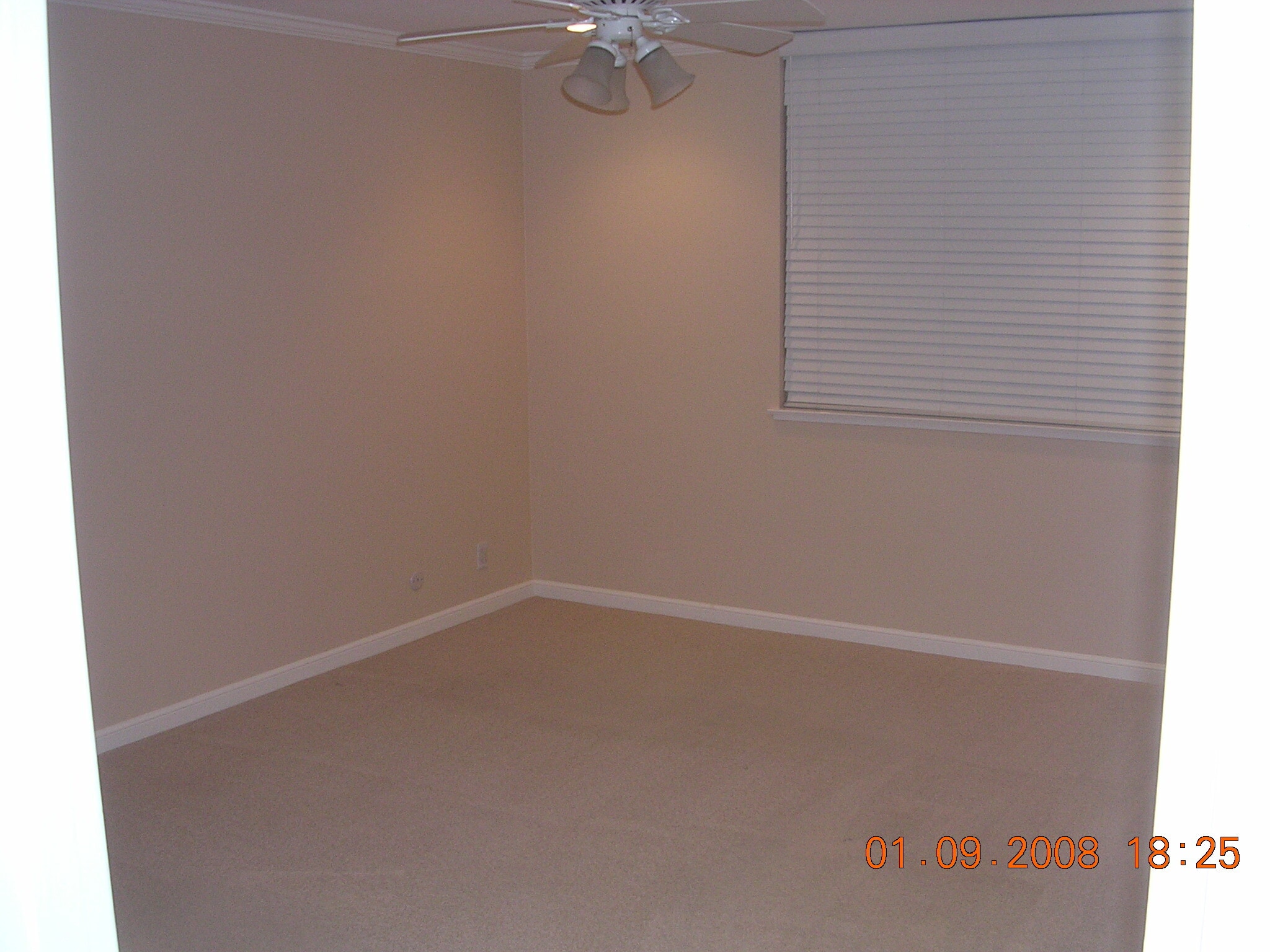 Master BR apprx 14'x20' - 200 Elm St