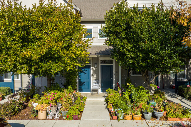 Entrance - Carlow Court Apartments at Emerald Vista