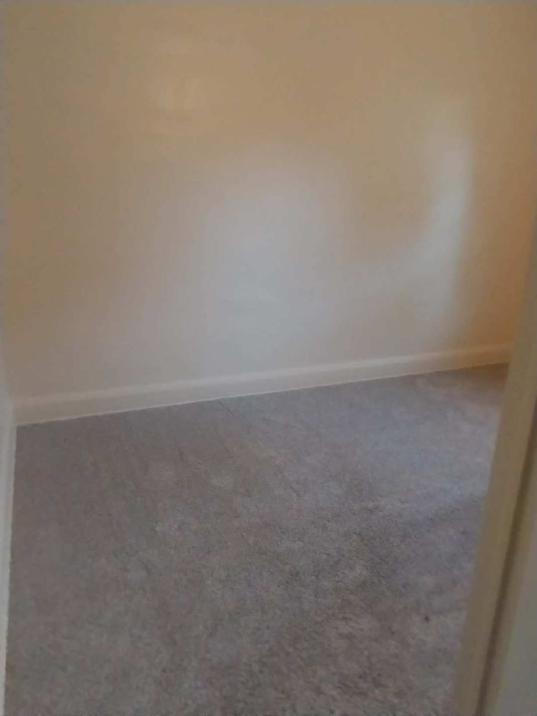 Building Photo - 1934 Brame Pl