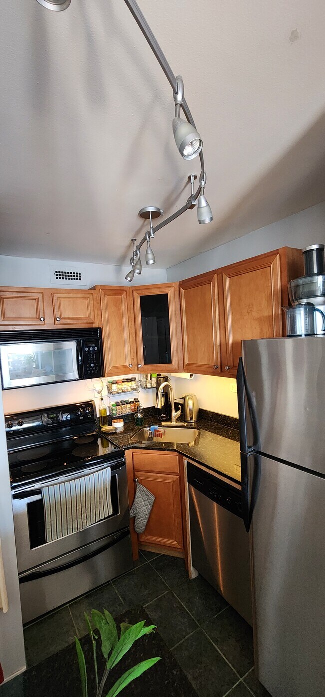 Building Photo - 1460 N Sandburg Terrace