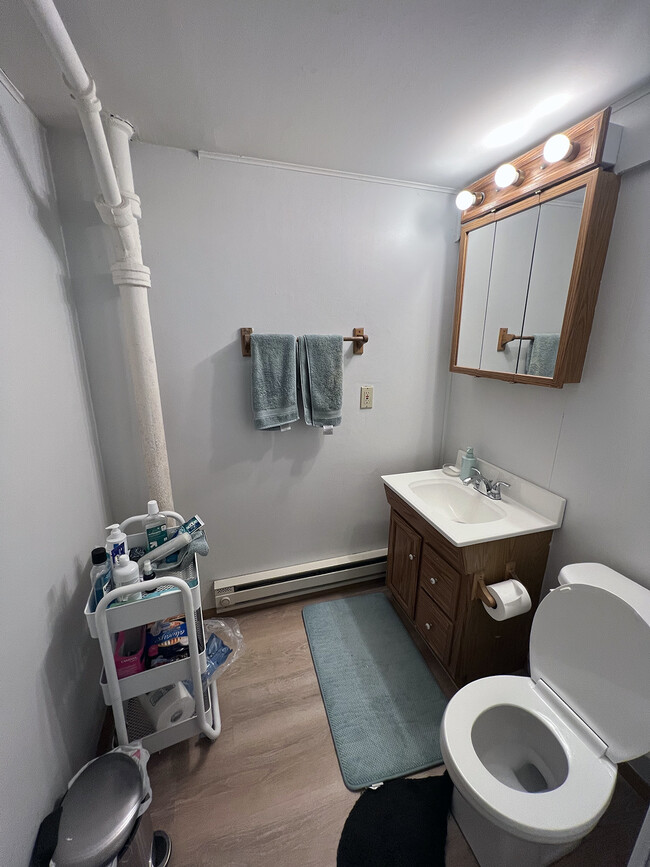 Basement bathroom. - 1911 Talmage Ave SE