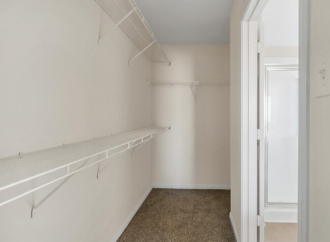 Building Photo - 835 Dracena Ct