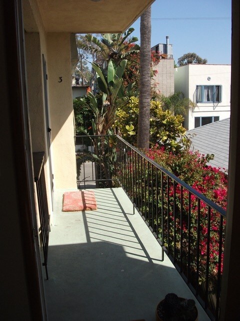 View out of the front door of Apt 4 - 110 Brooks Ave