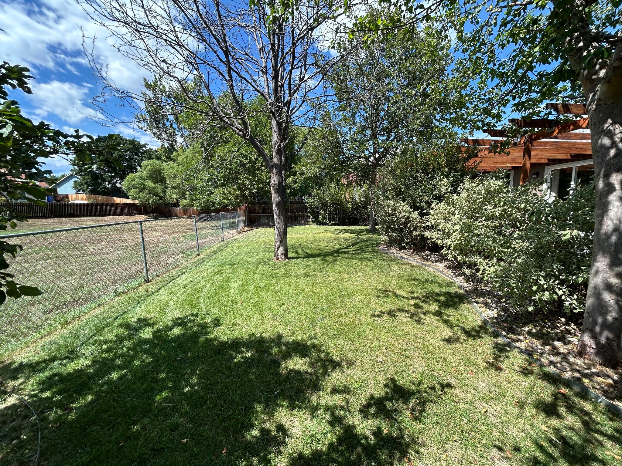 Sadly, this tree has died and is scheduled to be removed in September. - 4393 N Lincoln Ave