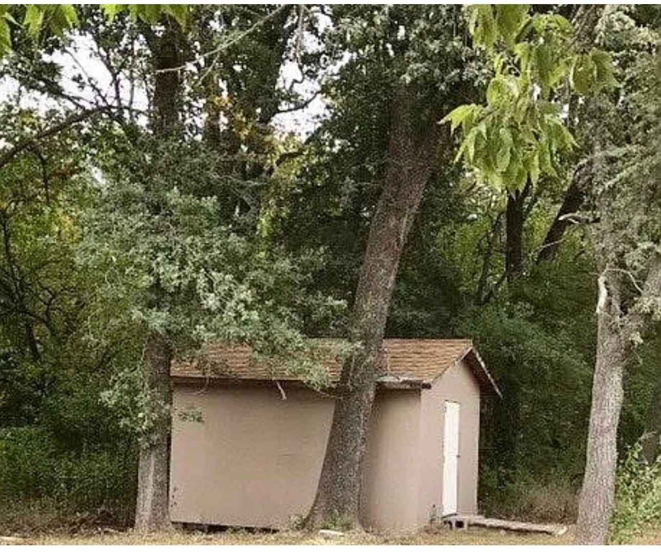 Building Photo - 101 Co Rd 193