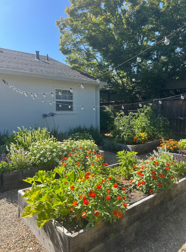 Building Photo - 902 Harold Ln