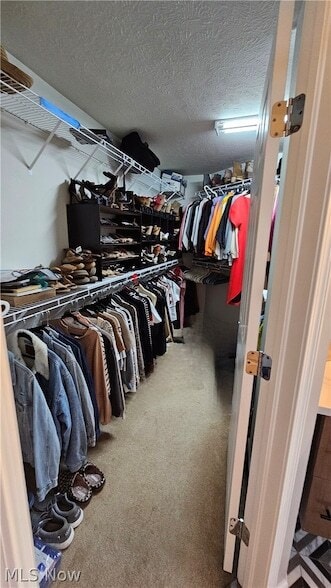 Building Photo - 9337 Ellis Way