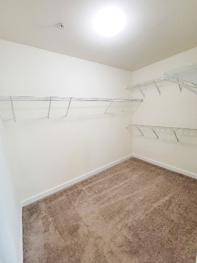 Building Photo - 2702 Millwood Way
