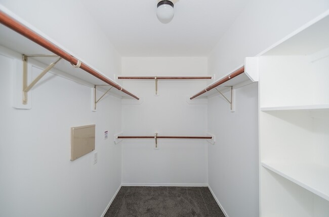 Building Photo - 2646 Leopard Ct