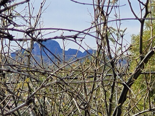 Building Photo - 600 El Recreo Ct