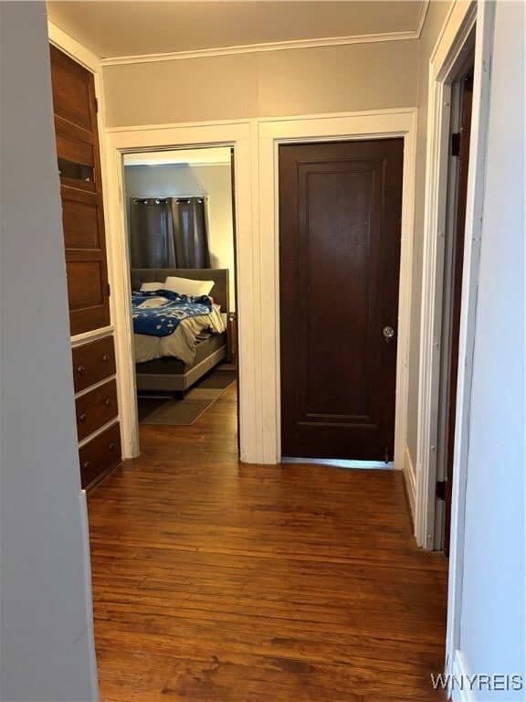 Building Photo - 42 Lincoln Blvd