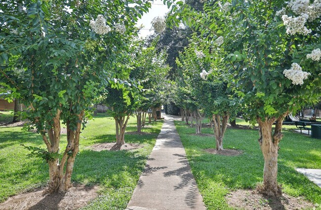 Interior Photo - Townhomes at Pleasant Hill