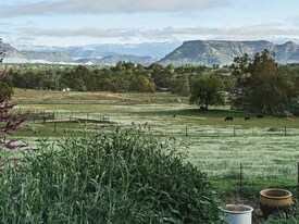 Wake up to this view! - 26180 Whispering Oak Ln