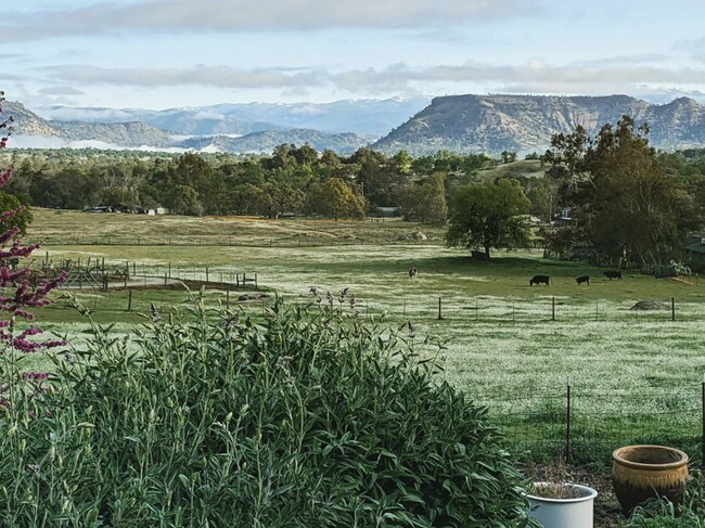 Wake up to this view!