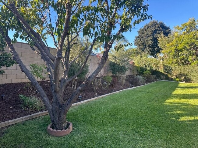 Building Photo - 2507 Moss Cir