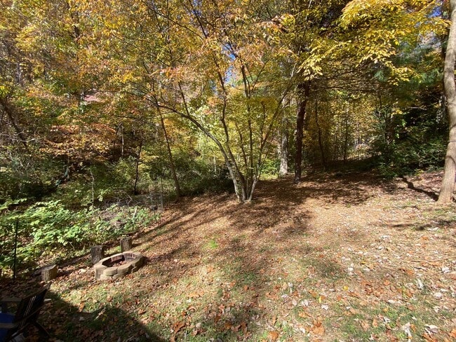 Building Photo - South AVL - 3/2 with Finished Basement!