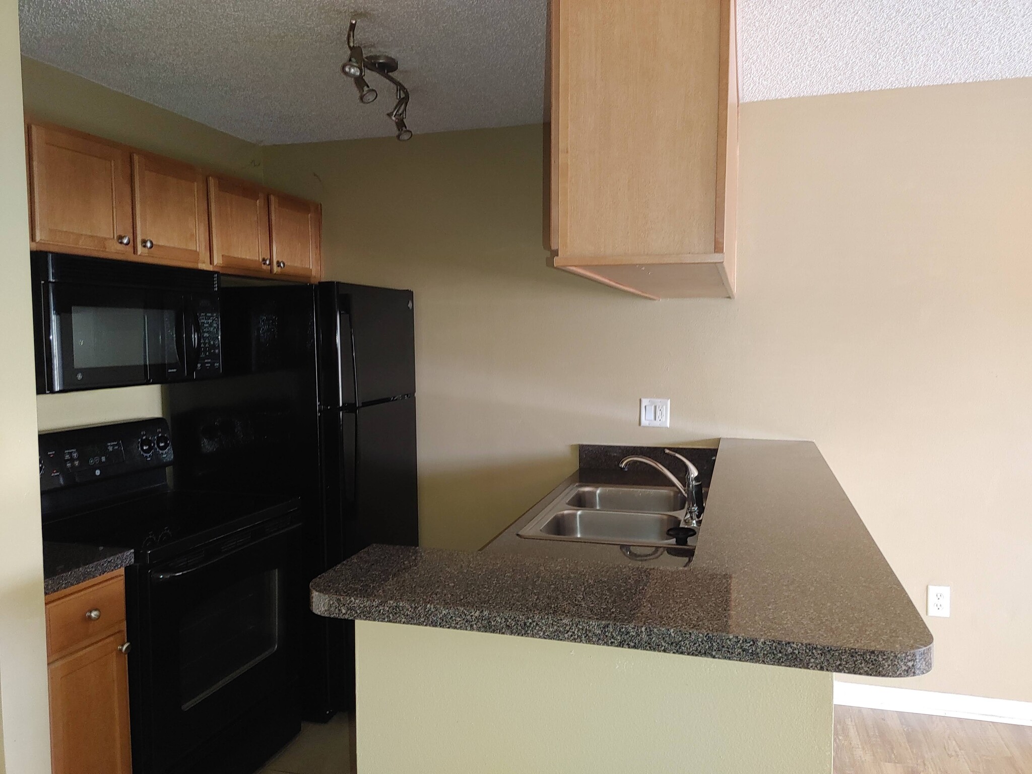 Kitchen w/ new fridge - 215 Lake Brook Cir