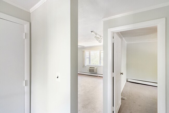Building Photo - 56 Bryon Rd